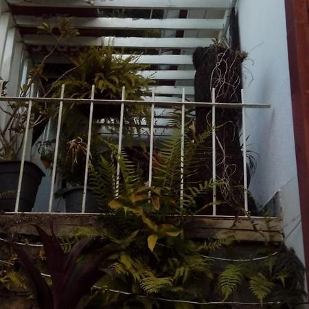 Hostel Mdemarilia Нова-Фрибургу Екстер'єр фото